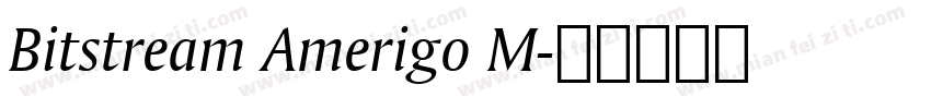 Bitstream Amerigo M字体转换